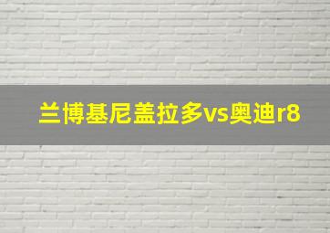 兰博基尼盖拉多vs奥迪r8