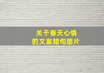 关于春天心情的文案短句图片