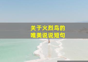 关于火烈鸟的唯美说说短句