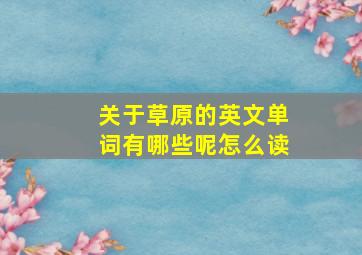 关于草原的英文单词有哪些呢怎么读