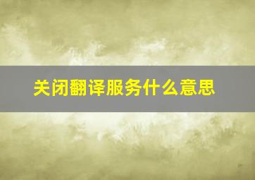 关闭翻译服务什么意思