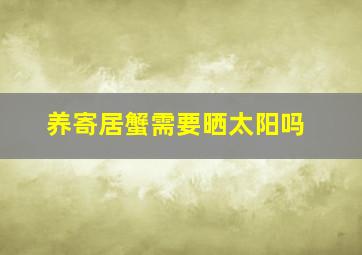 养寄居蟹需要晒太阳吗