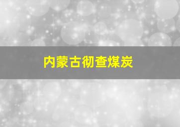 内蒙古彻查煤炭