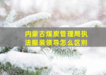 内蒙古煤炭管理局执法服装领导怎么区别