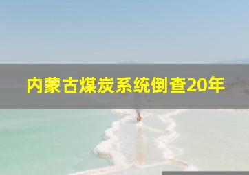 内蒙古煤炭系统倒查20年