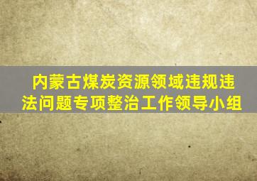 内蒙古煤炭资源领域违规违法问题专项整治工作领导小组