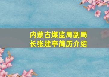 内蒙古煤监局副局长张建亭简历介绍