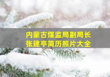 内蒙古煤监局副局长张建亭简历照片大全