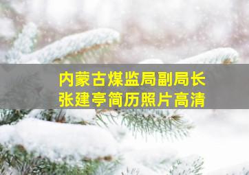 内蒙古煤监局副局长张建亭简历照片高清