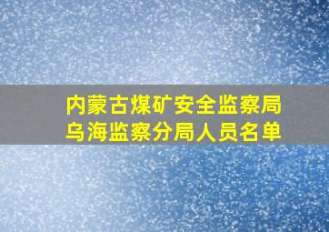 内蒙古煤矿安全监察局乌海监察分局人员名单