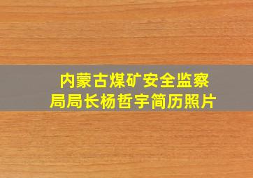 内蒙古煤矿安全监察局局长杨哲宇简历照片