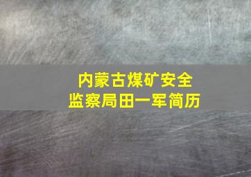 内蒙古煤矿安全监察局田一军简历