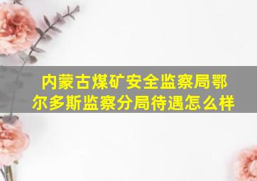 内蒙古煤矿安全监察局鄂尔多斯监察分局待遇怎么样