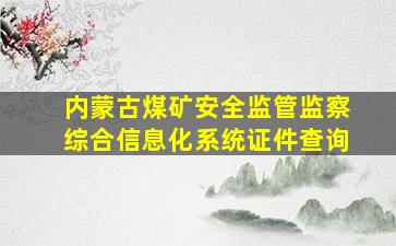 内蒙古煤矿安全监管监察综合信息化系统证件查询