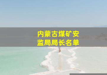 内蒙古煤矿安监局局长名单