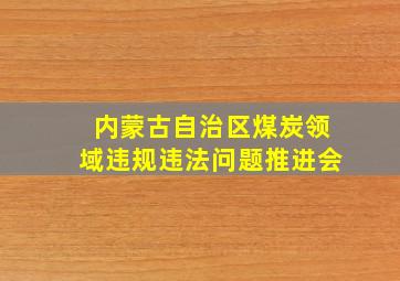 内蒙古自治区煤炭领域违规违法问题推进会