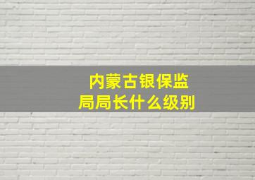 内蒙古银保监局局长什么级别