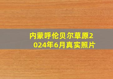 内蒙呼伦贝尔草原2024年6月真实照片