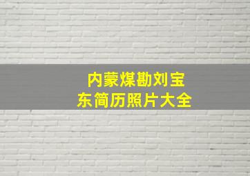 内蒙煤勘刘宝东简历照片大全