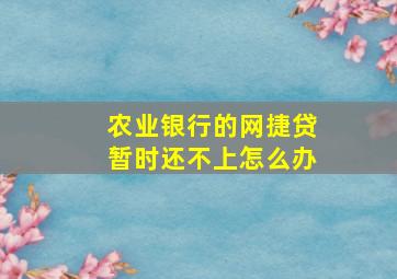 农业银行的网捷贷暂时还不上怎么办