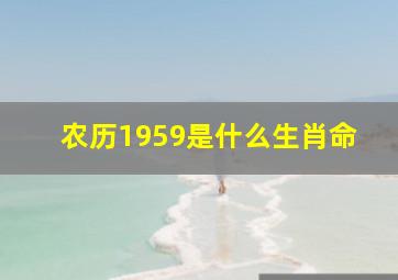 农历1959是什么生肖命