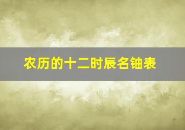 农历的十二时辰名铀表