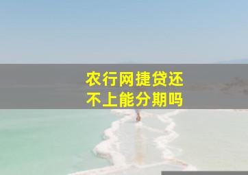 农行网捷贷还不上能分期吗