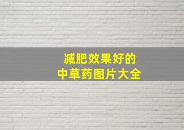 减肥效果好的中草药图片大全