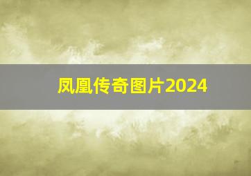 凤凰传奇图片2024