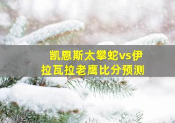 凯恩斯太攀蛇vs伊拉瓦拉老鹰比分预测