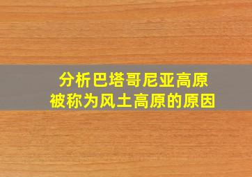 分析巴塔哥尼亚高原被称为风土高原的原因