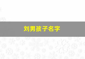 刘男孩子名字