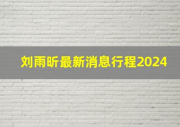 刘雨昕最新消息行程2024