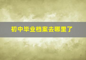 初中毕业档案去哪里了