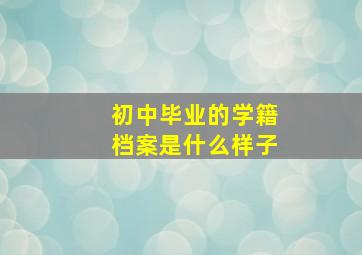 初中毕业的学籍档案是什么样子