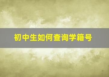 初中生如何查询学籍号