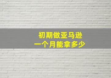 初期做亚马逊一个月能拿多少