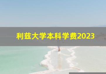 利兹大学本科学费2023