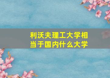 利沃夫理工大学相当于国内什么大学