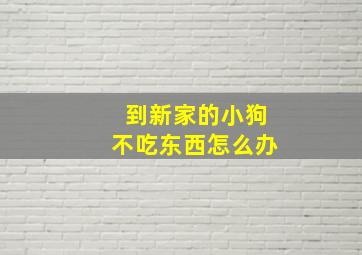 到新家的小狗不吃东西怎么办