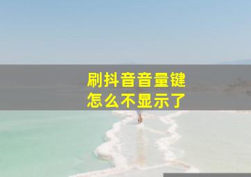 刷抖音音量键怎么不显示了