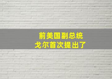 前美国副总统戈尔首次提出了