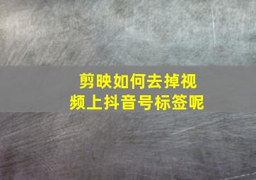 剪映如何去掉视频上抖音号标签呢