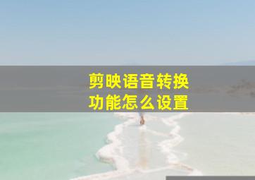 剪映语音转换功能怎么设置