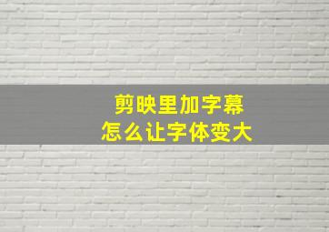 剪映里加字幕怎么让字体变大