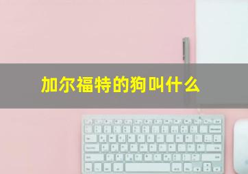 加尔福特的狗叫什么