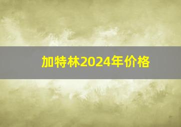 加特林2024年价格