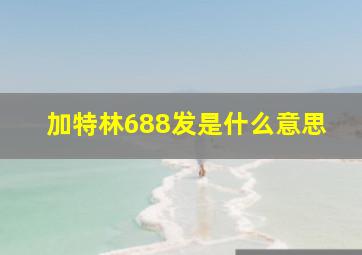 加特林688发是什么意思