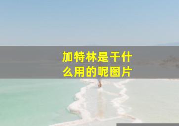 加特林是干什么用的呢图片