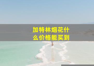 加特林烟花什么价格能买到